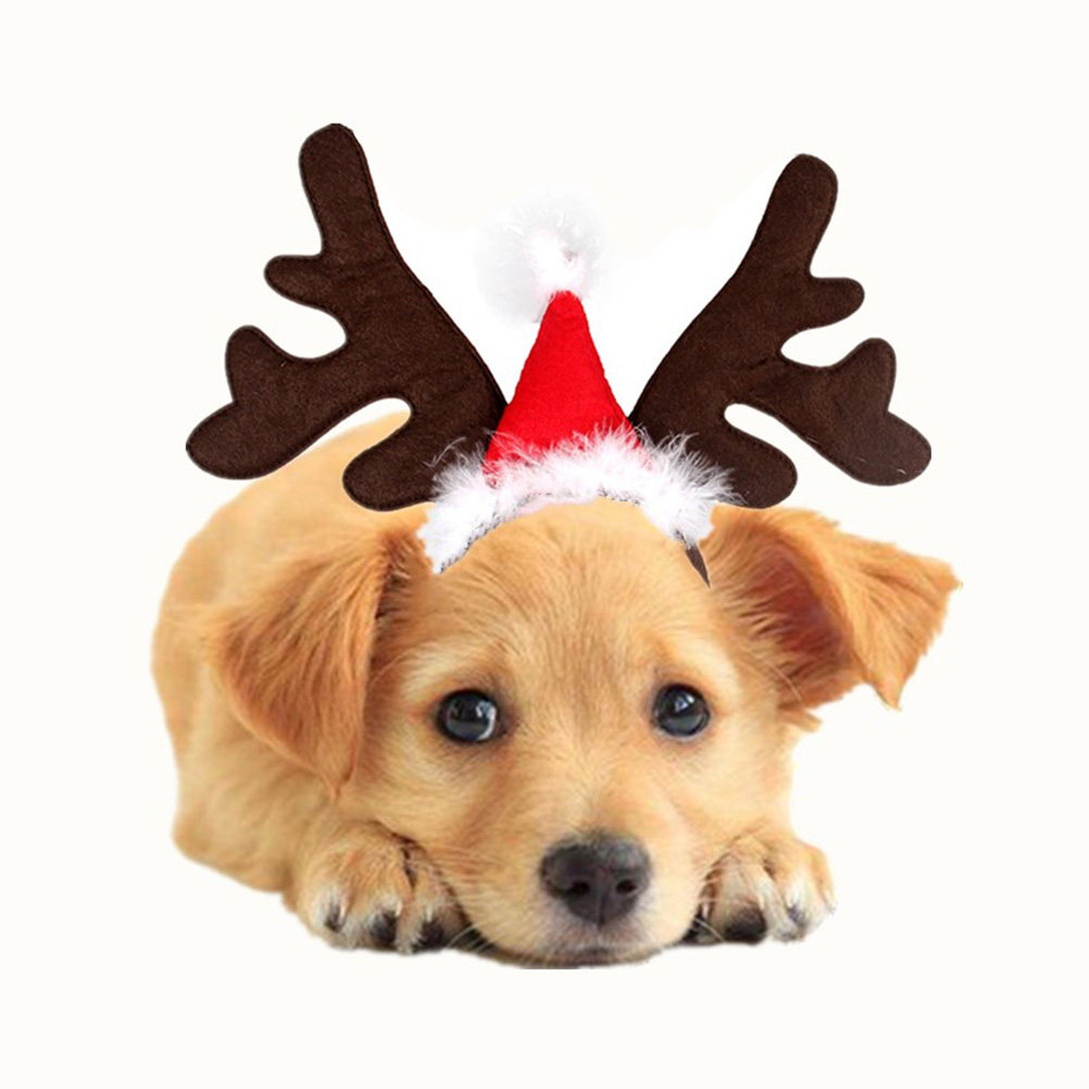 Reindeer Antlers Headband - Serre-tête en bois de cerf, oreilles