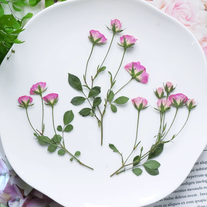 12 pièces, mini roses pressées - Holiday Candle Set avis et prix